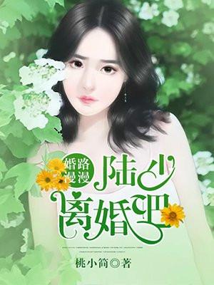 婚途漫漫陆少