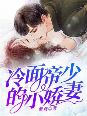 冷面帝少的小娇妻讲的什么