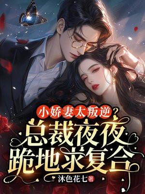 小娇妻又甜又野总裁
