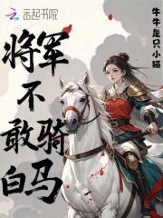 将军骑马不追小兔