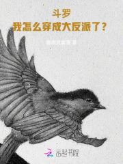 穿越斗罗之我是反派大佬