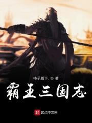 霸王三国志2秘籍