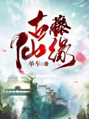 古藤仙缘全本TXT笔趣阁