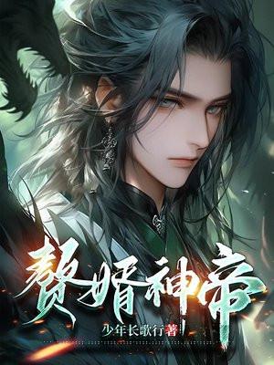 赘婿神帝叶凡免费阅读