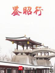 鉴昭行笔趣阁