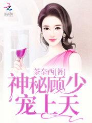 神秘顾爷掌上宝全文阅读