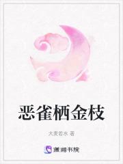 金枝栖月