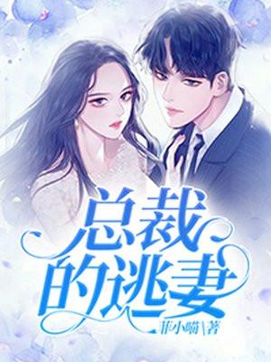 总裁的逃妻童若冷少辰