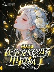 免费阅读美人娇