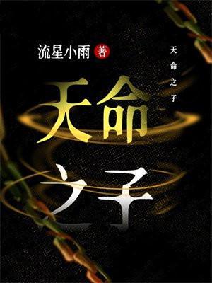 天命之子纪念登录验证码