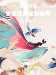 灵枢好用吗