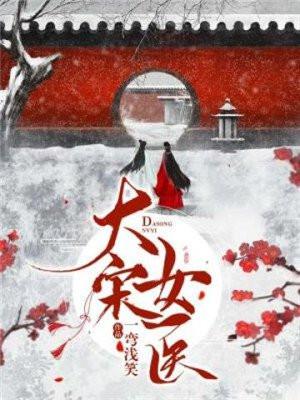 大宋女医好看吗