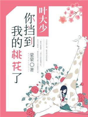 叶大少