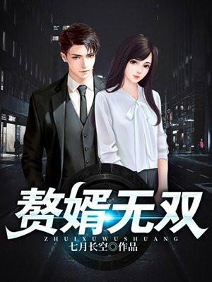 赘婿无双 向阳的心