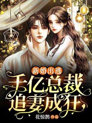总裁的新婚逃妻