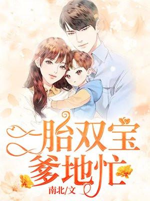 一胎2宝总裁爹的