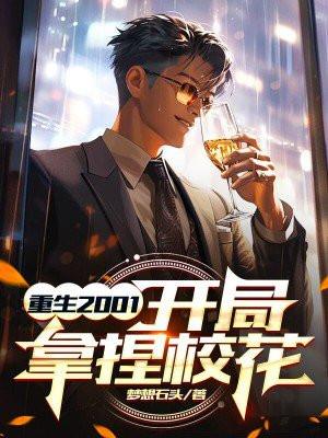 主角重生2001年的