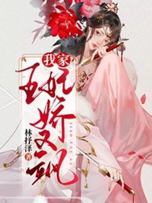 我家王妃娇又飒免费读