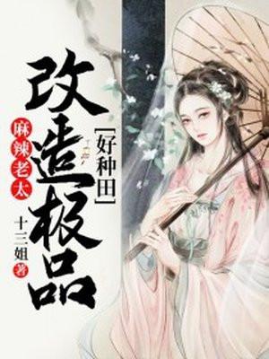 麻辣老太改造极品好种田-十三姐