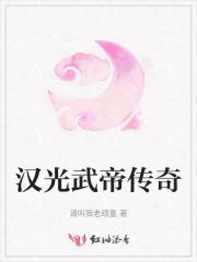 汉光武帝传奇电视剧全集在线观看 汉光武帝传奇电视剧全集在线观看