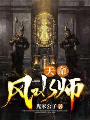 天命风水师江胜柳如烟