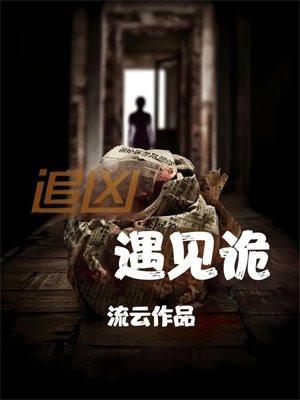 追凶探案