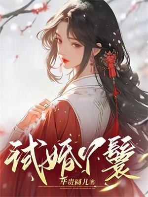试婚丫鬟的npc古言