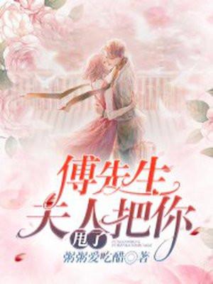 夫人她把你甩了全文阅读