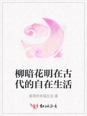 柳暗花明在古代的自在生活这本书好看吗