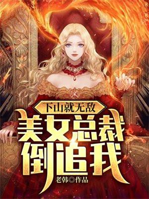 美女总裁倒追我 老韩