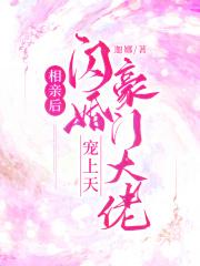 相亲闪婚婚后文