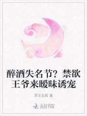 禁欲王爷好闷骚叶不言