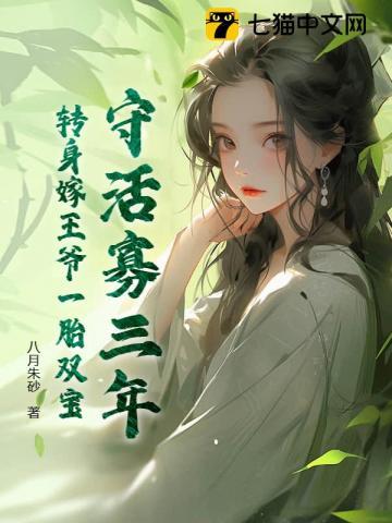 转身嫁王爷一胎双宝 八月朱砂