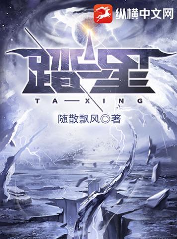 踏星全文免费阅读完整版