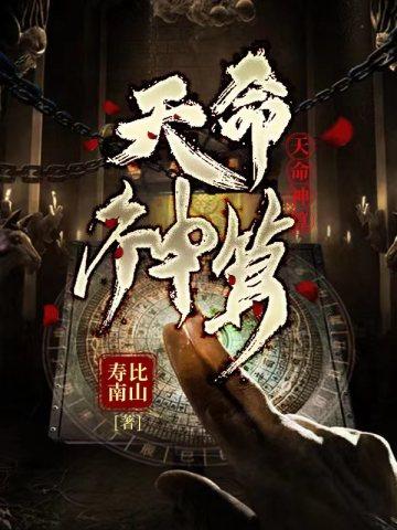 天命神算 书旗