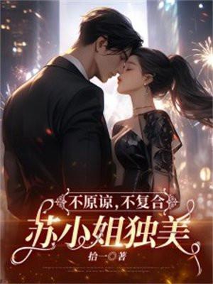 不原谅不复合苏小姐独美全文阅读