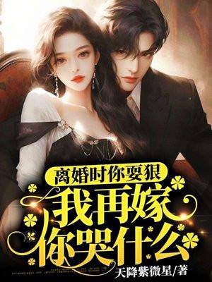 我再嫁你哭什么天降紫微星