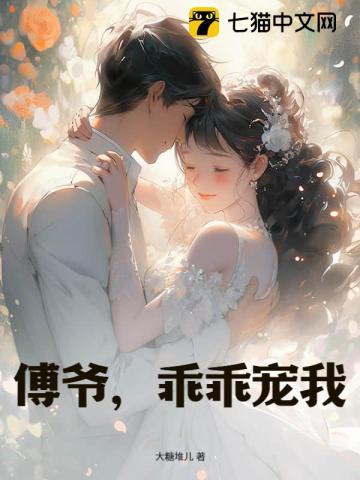 傅爷宠不停