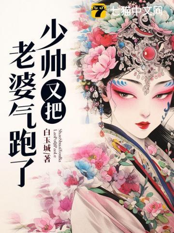 少帅老婆又跑了漫画