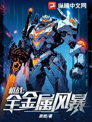 机战全金属风暴TXT