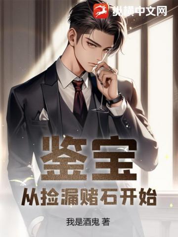 鉴宝从捡漏赌石开始云汐