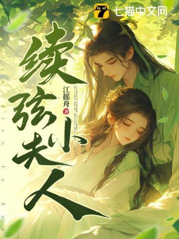 续弦小夫人免费阅读