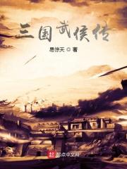 三国武侯传人清软