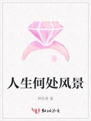 人生何处风景林乐易