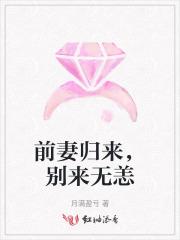 前妻归来电视剧全集免费观看高清