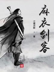 麻衣剑客TXT全本 麻衣剑客TXT全本
