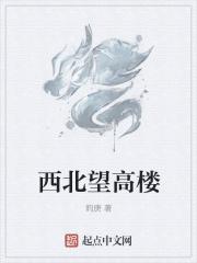 西北望高楼翻译及原文