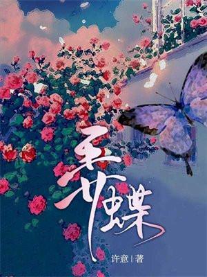 弄蝶讲的什么