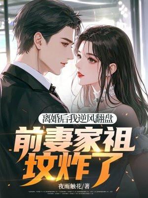 离婚后前妻倒追我 起点