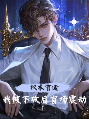 权柄官场
